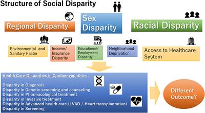 Social Inequalities in Non-ischemic Cardiomyopathies